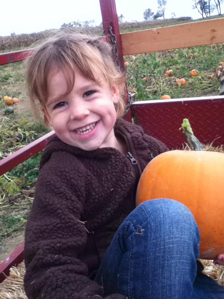 ard's farm pumpkin patch